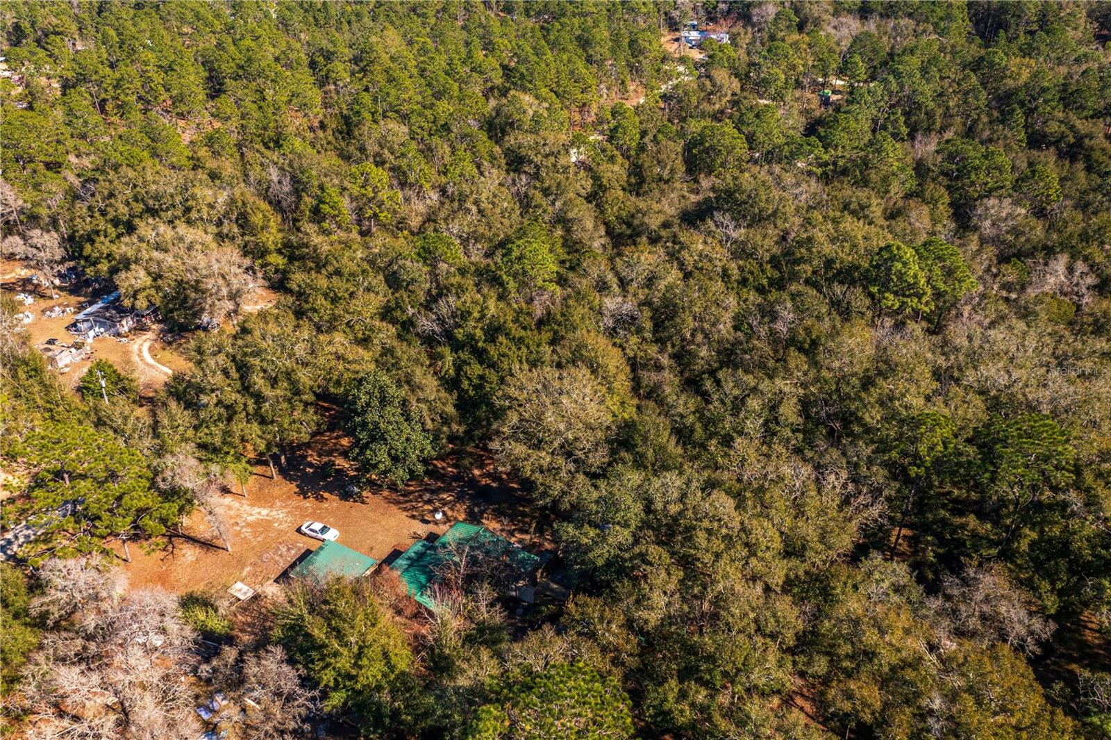 SW 20TH LN, OCALA, FL, 34481