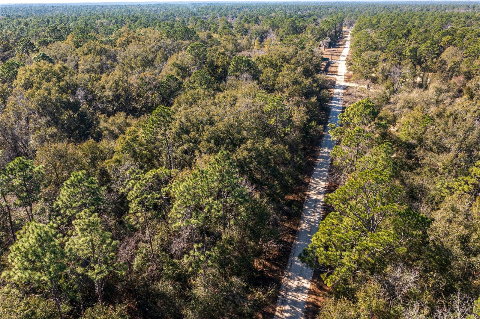 SW 20TH LN, OCALA, FL, 34481