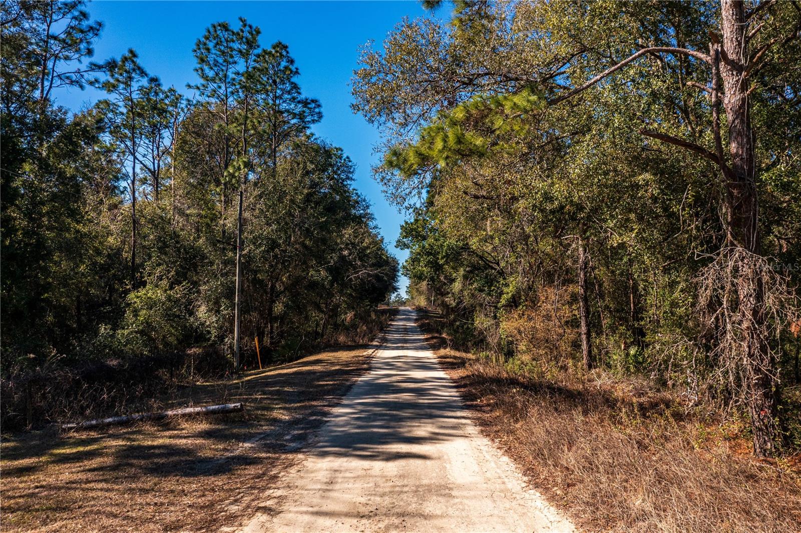 SW 20TH LN, OCALA, FL, 34481