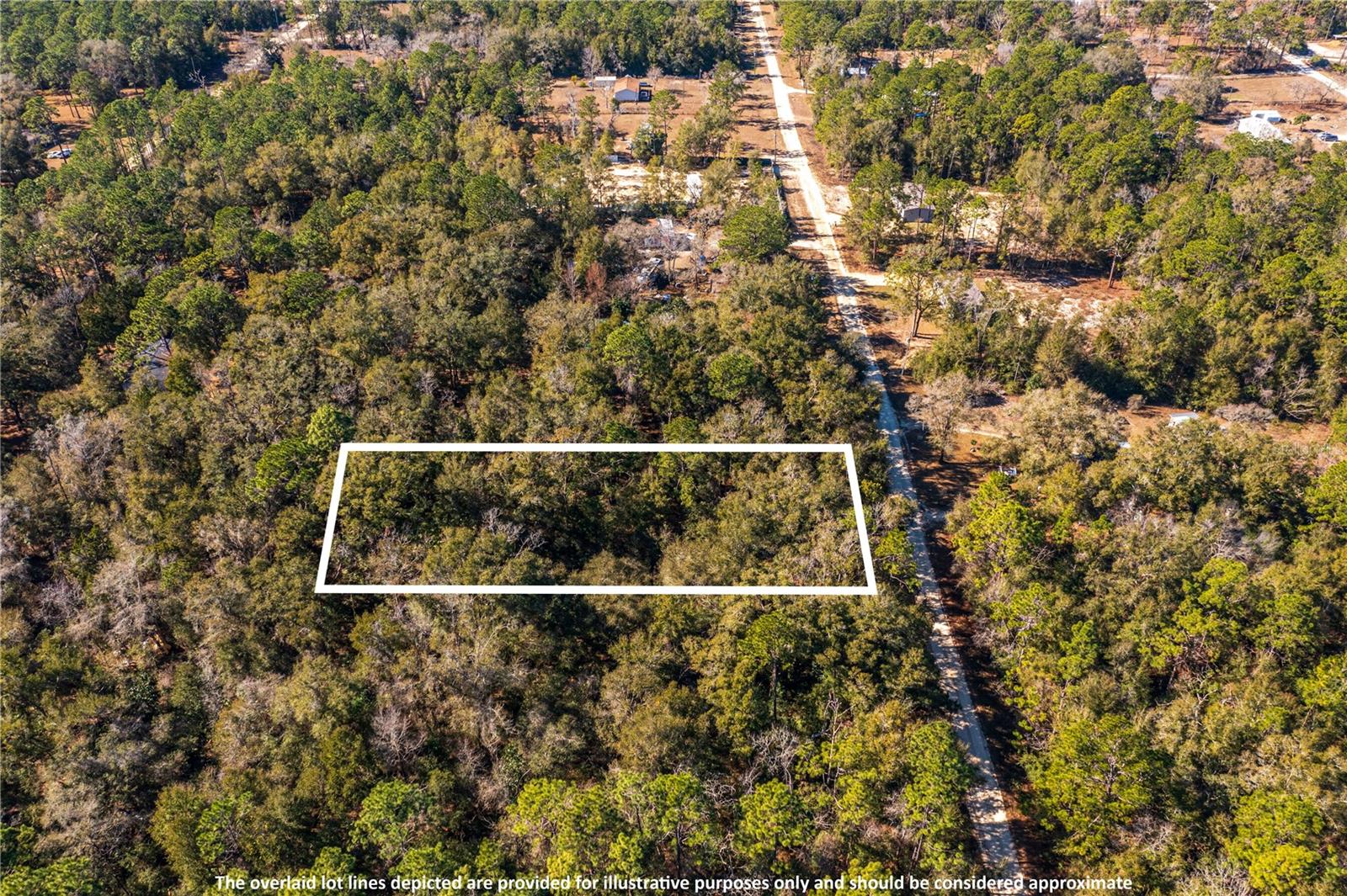 SW 20TH LN, OCALA, FL, 34481