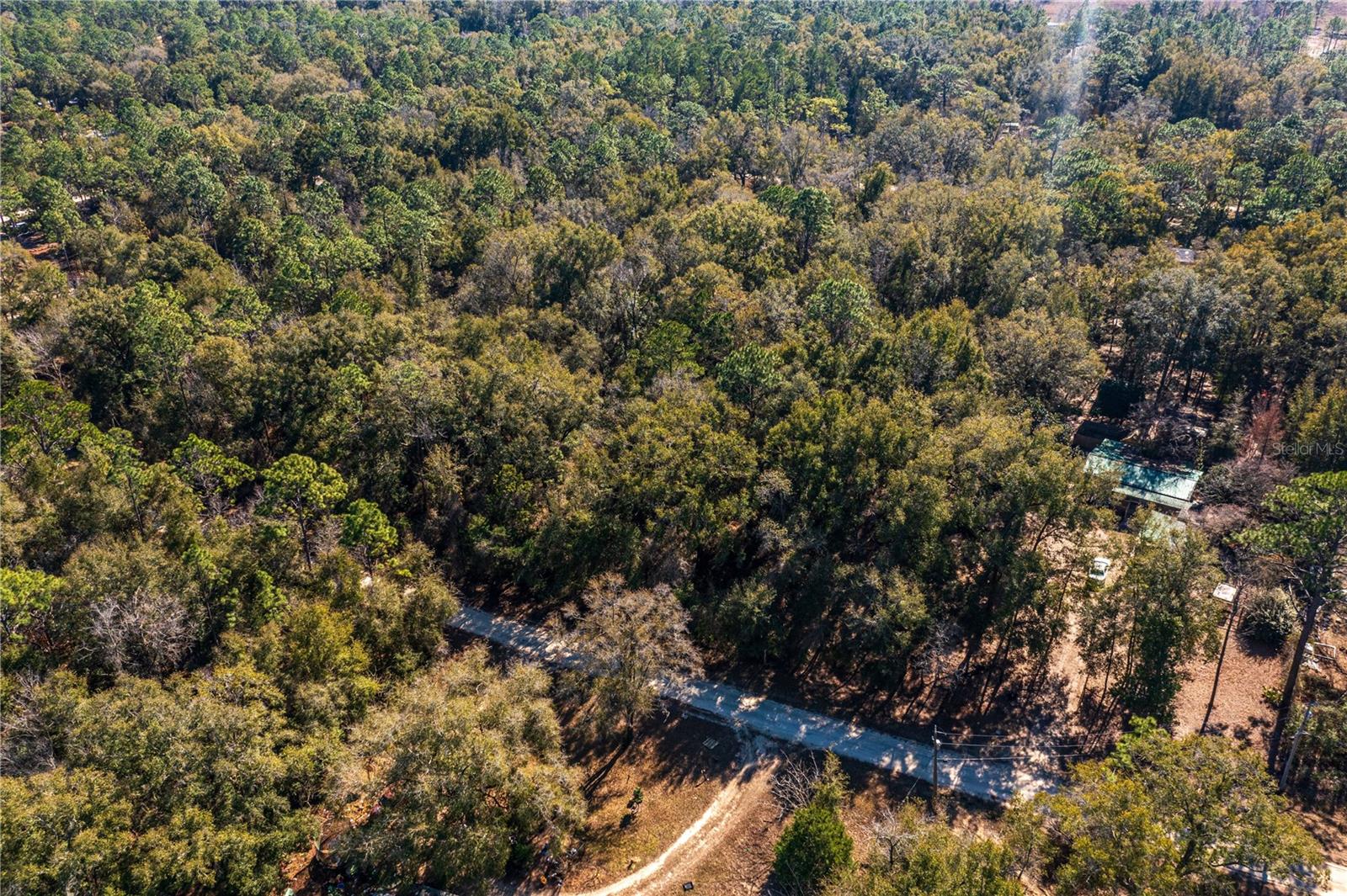 SW 20TH LN, OCALA, FL, 34481