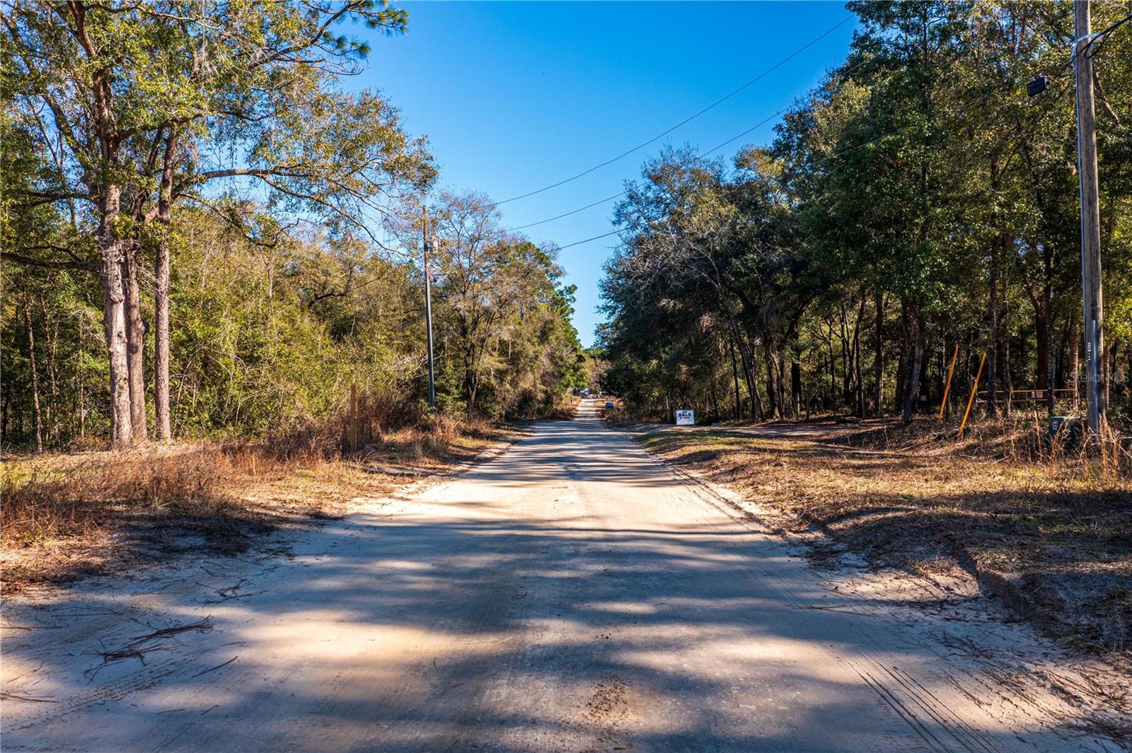 SW 20TH LN, OCALA, FL, 34481