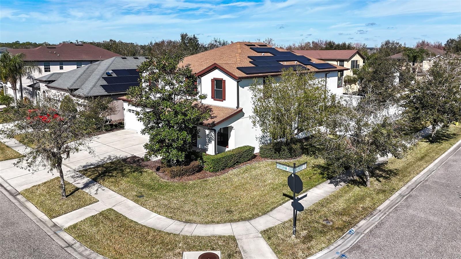 7119 PEREGRINA LOOP, WESLEY CHAPEL, FL, 33545
