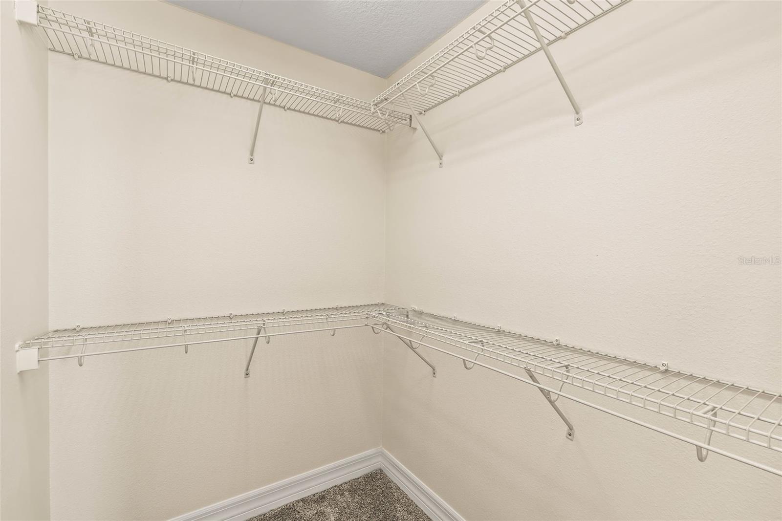 7119 PEREGRINA LOOP, WESLEY CHAPEL, FL, 33545