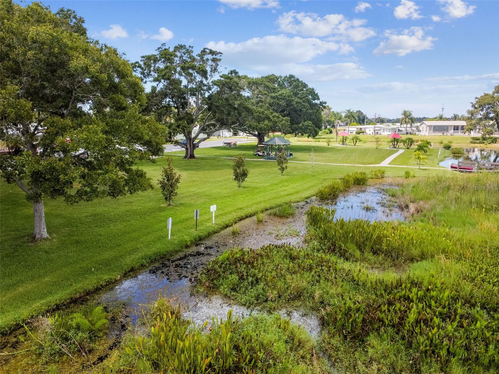 12651 SEMINOLE BLVD #2C, LARGO, FL, 33778