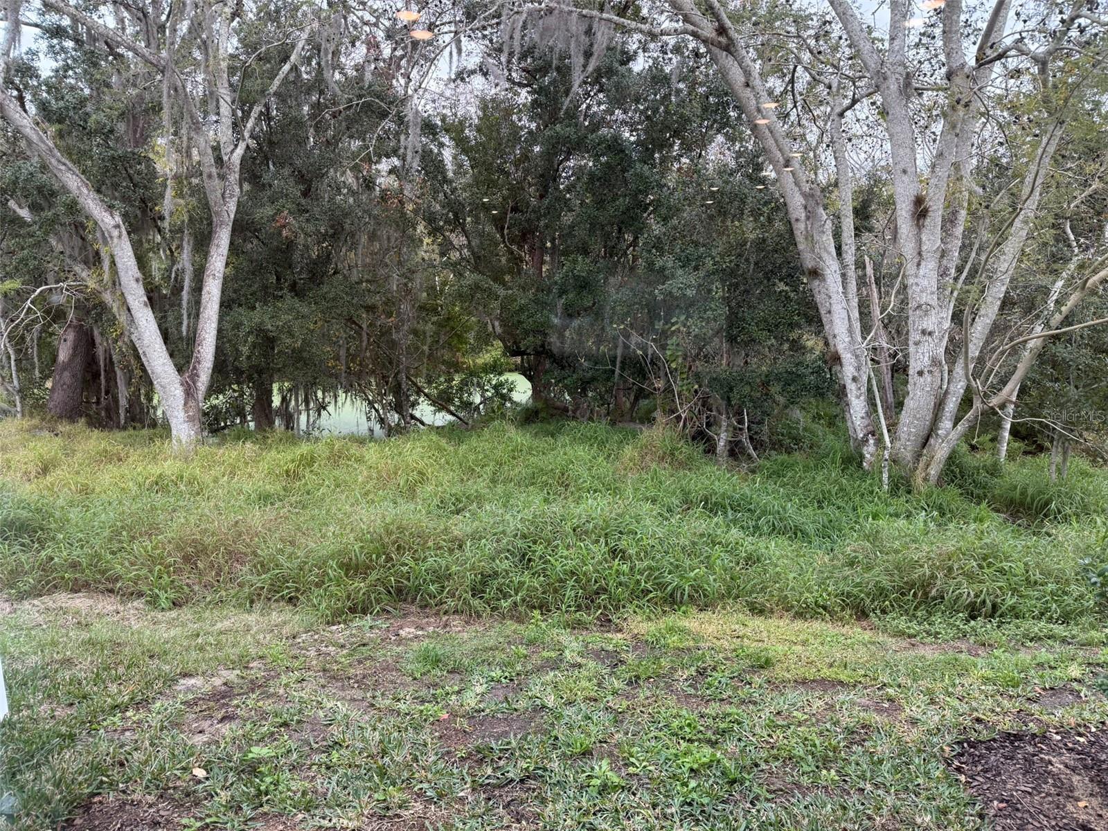 4653 SPARKLING SHELL AVE, KISSIMMEE, FL, 34746