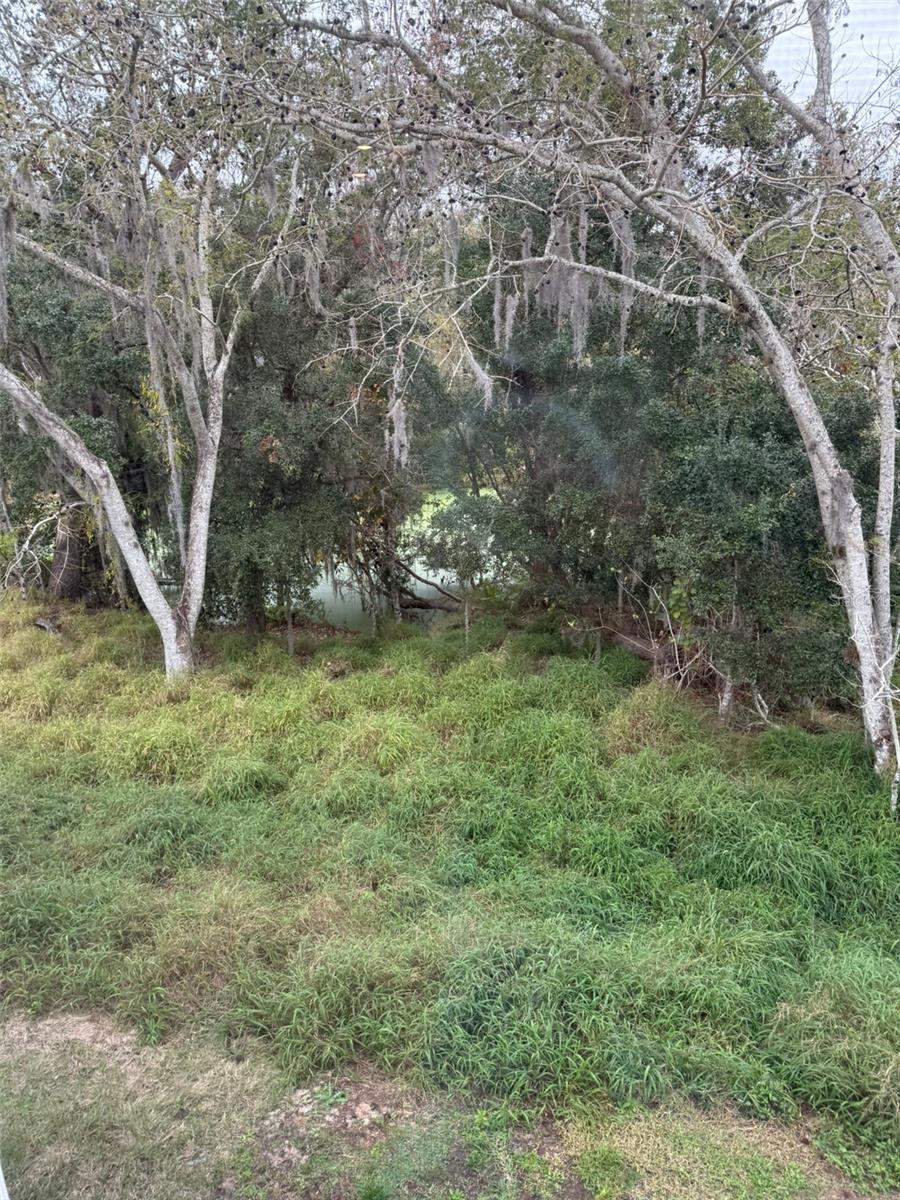 4653 SPARKLING SHELL AVE, KISSIMMEE, FL, 34746
