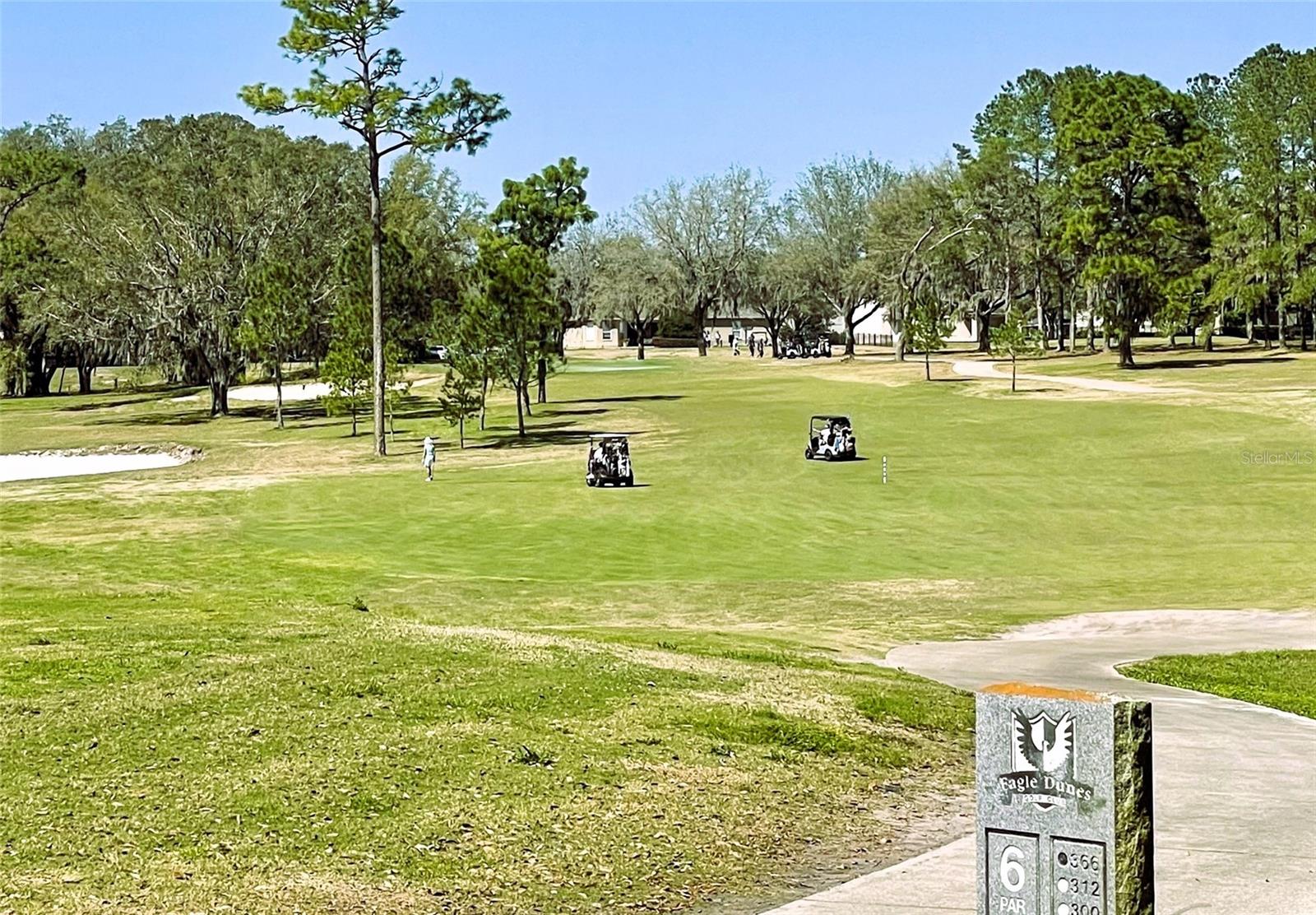 33925 TERRAGONA DR, SORRENTO, FL, 32776