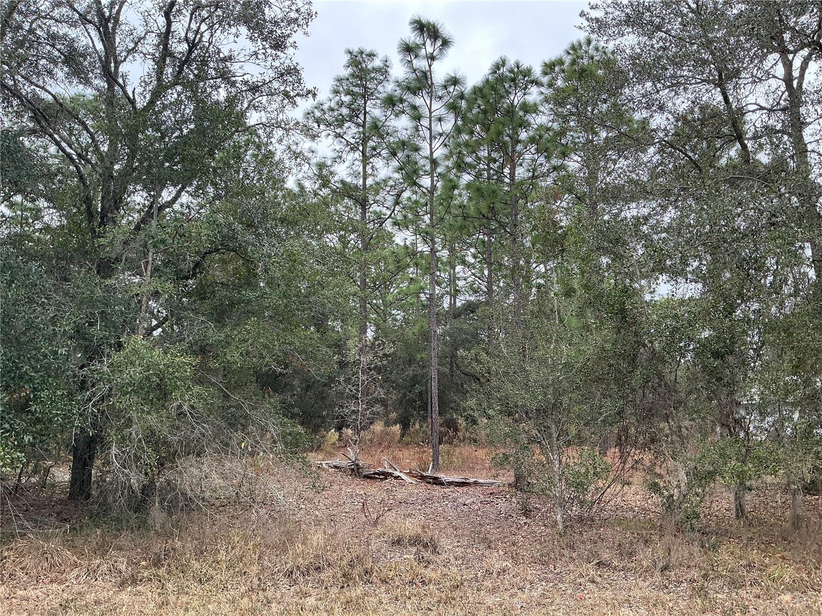 00 AVALON RD, DUNNELLON, FL, 34431