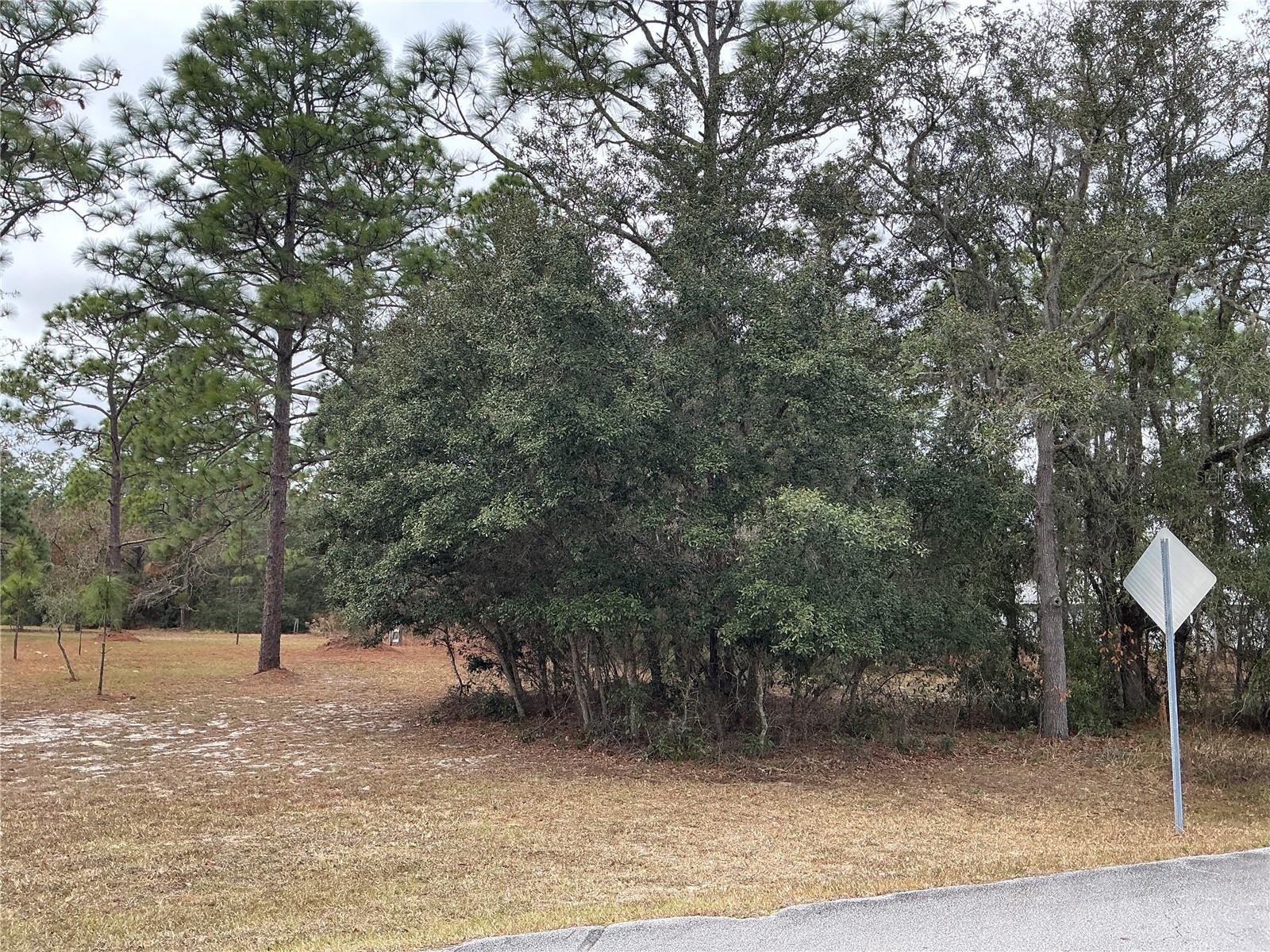 00 AVALON RD, DUNNELLON, FL, 34431