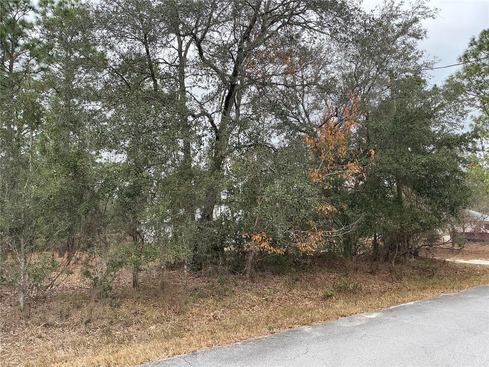 00 AVALON RD, DUNNELLON, FL, 34431