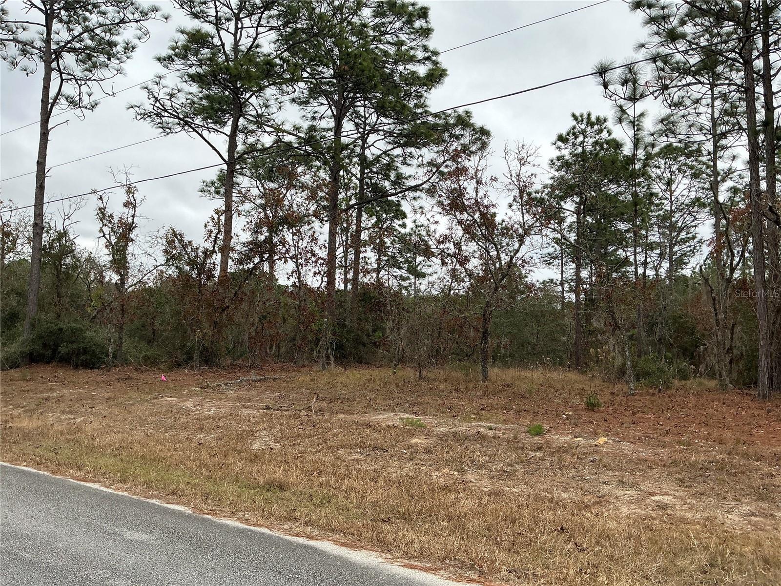 00 SW 207TH LOT 8 CT, DUNNELLON, FL, 34431