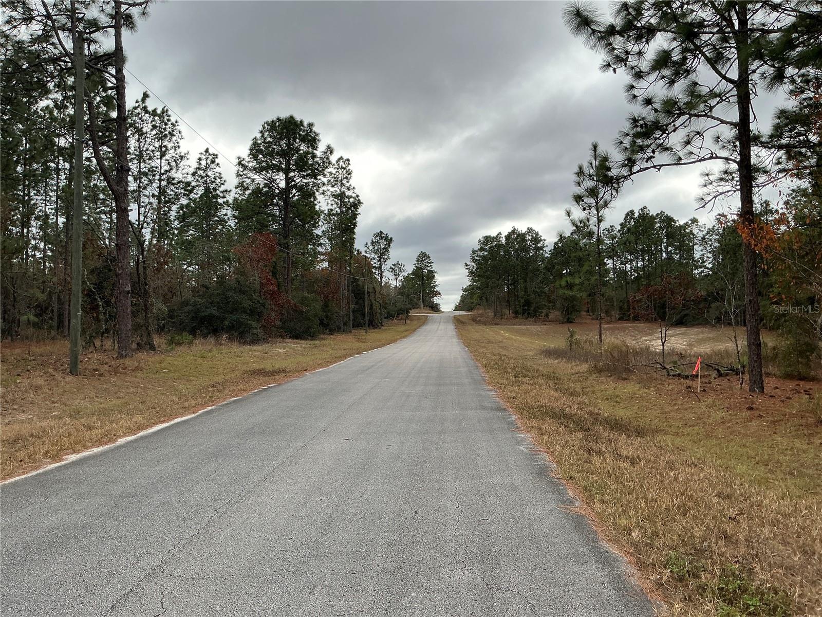 00 SW 207TH LOT 8 CT, DUNNELLON, FL, 34431