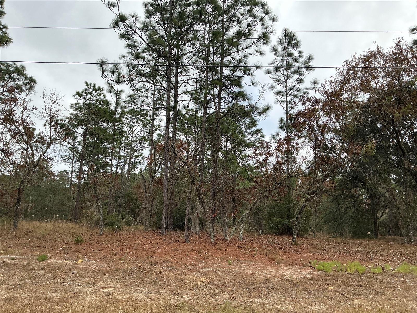 00 SW 207TH LOT 8 CT, DUNNELLON, FL, 34431