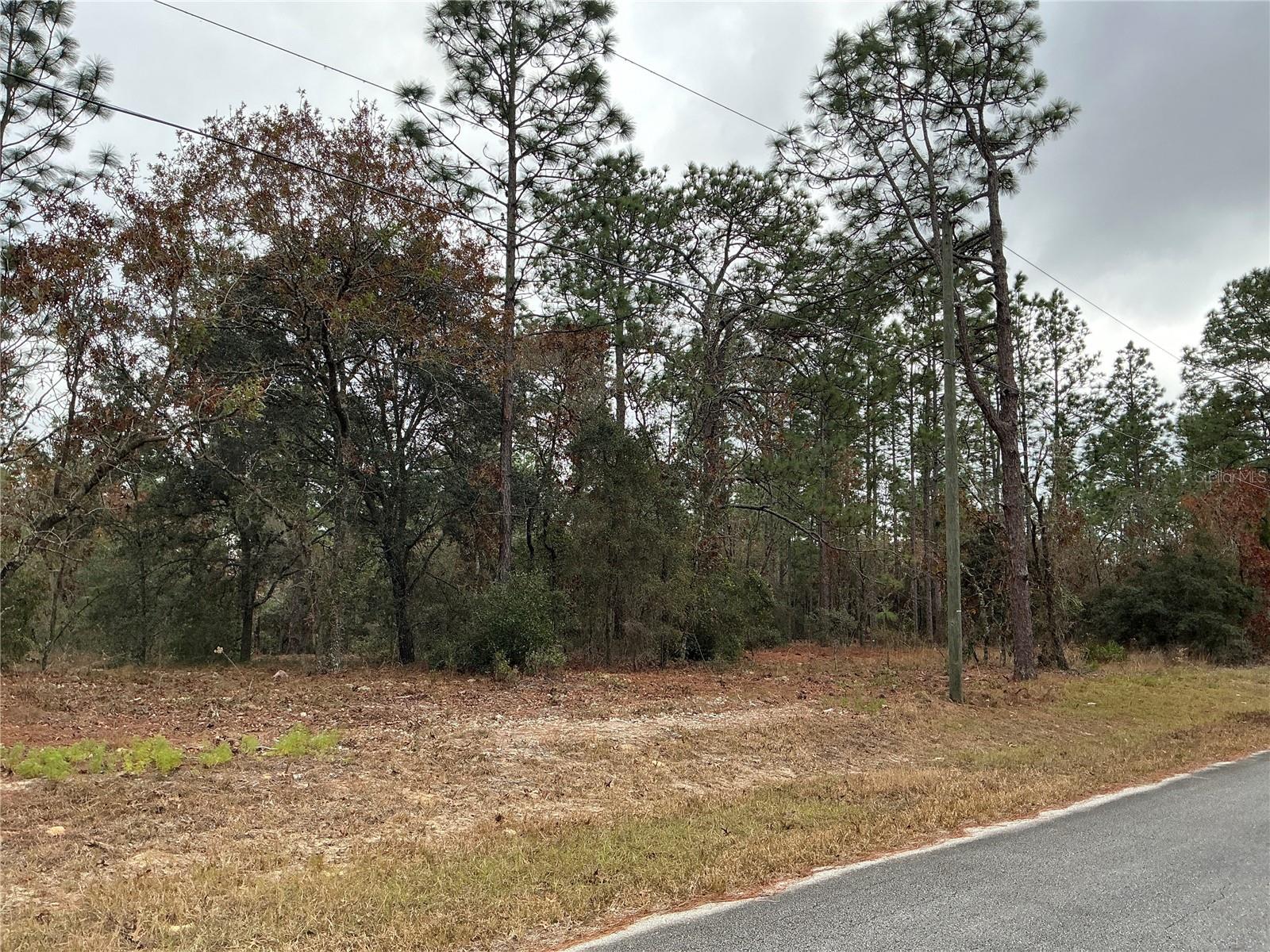 00 SW 207TH LOT 8 CT, DUNNELLON, FL, 34431
