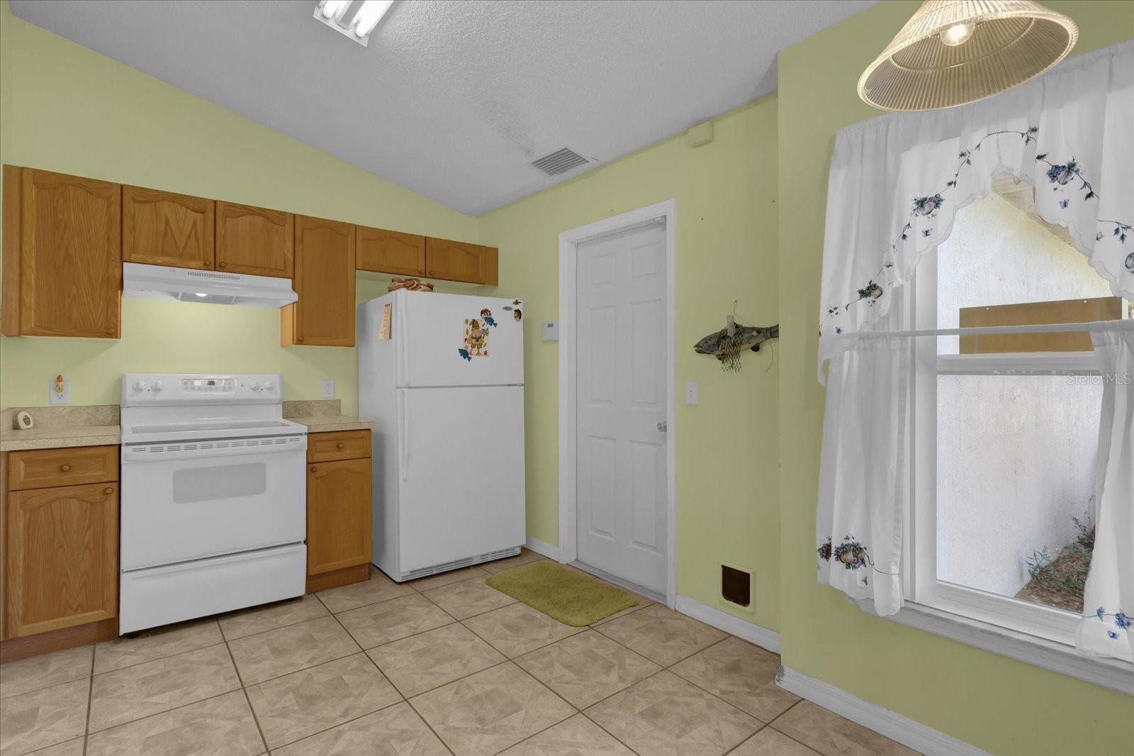38100 RICKER DR, LADY LAKE, FL, 32159