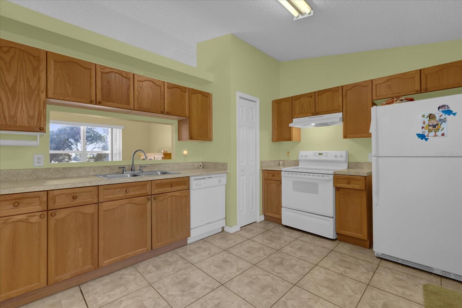 38100 RICKER DR, LADY LAKE, FL, 32159