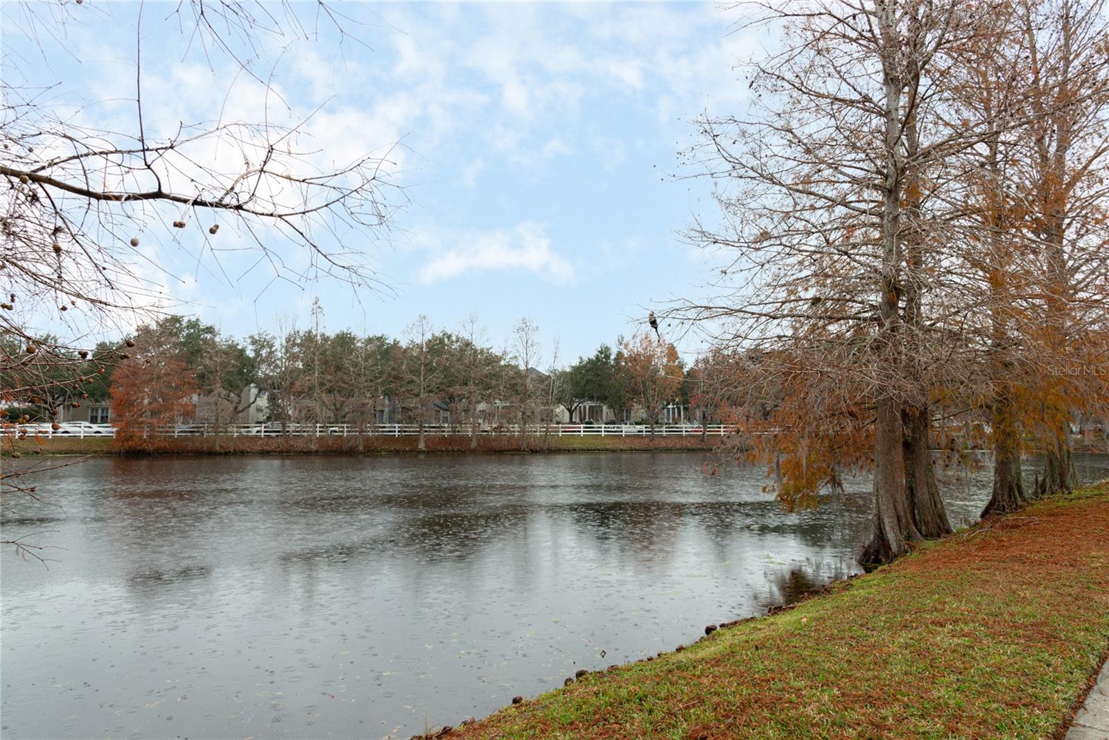 706 WESTPARK WAY #103, CELEBRATION, FL, 34747