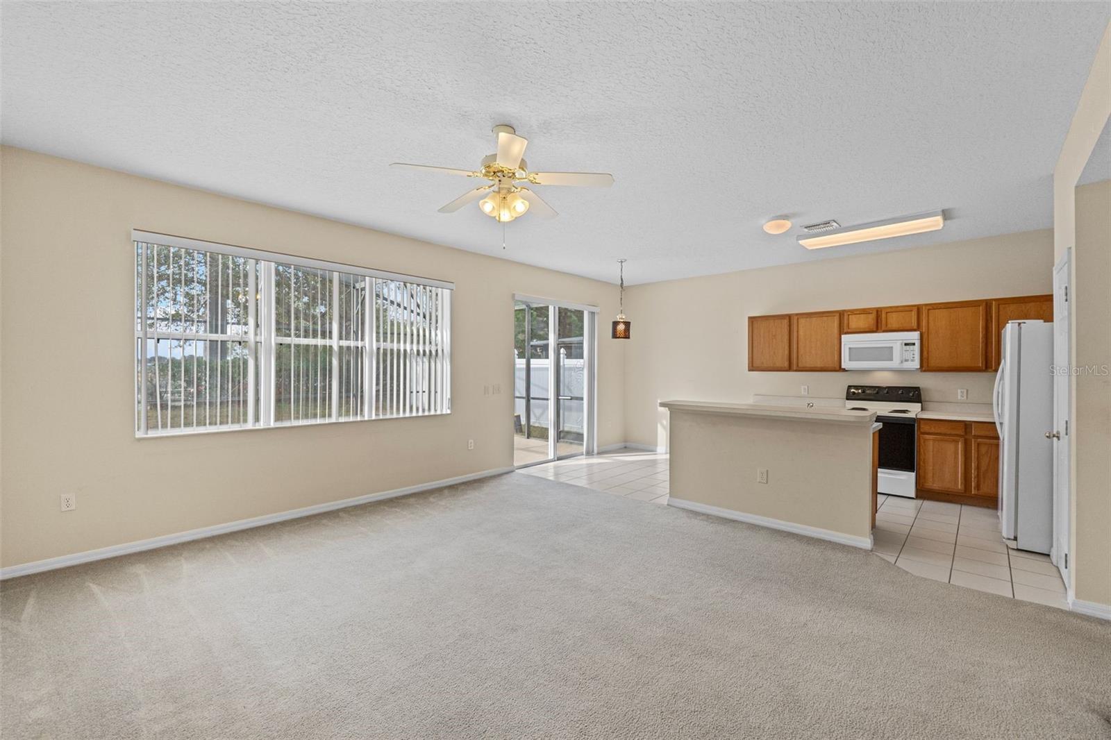319 SAND RIDGE DR, DAVENPORT, FL, 33896