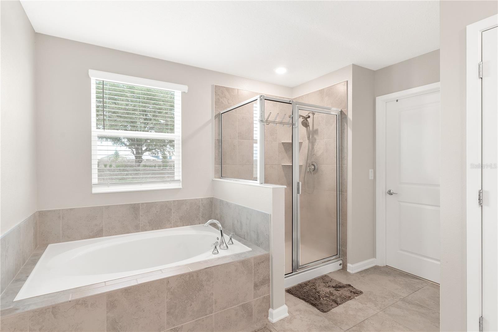 848 CARMILLION CT, GROVELAND, FL, 34736