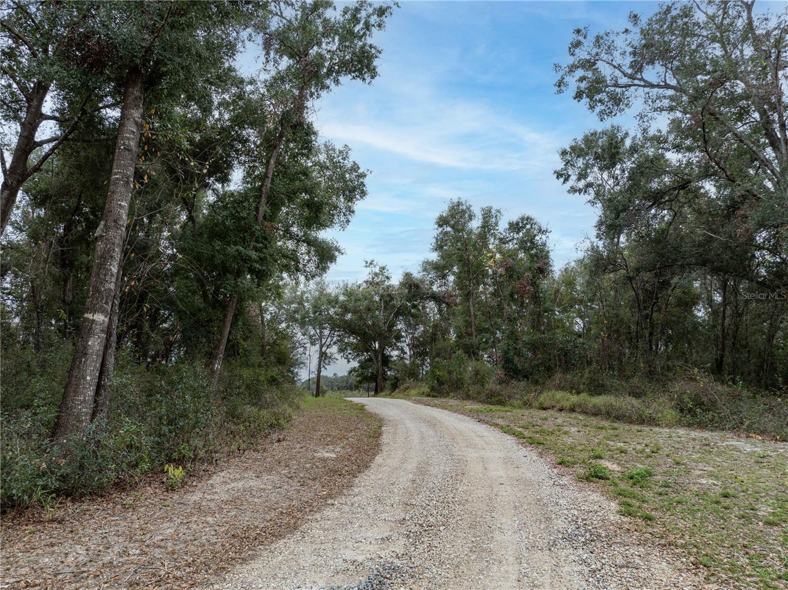 3493 EDWARDS ROAD, LADY LAKE, FL, 32159