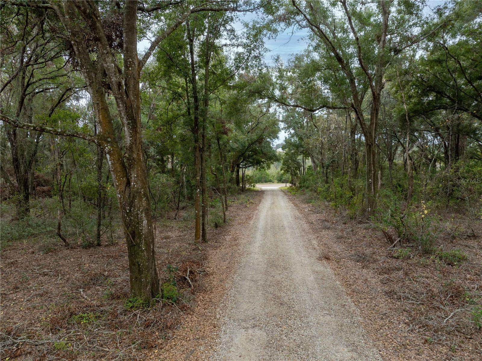 3493 EDWARDS ROAD, LADY LAKE, FL, 32159