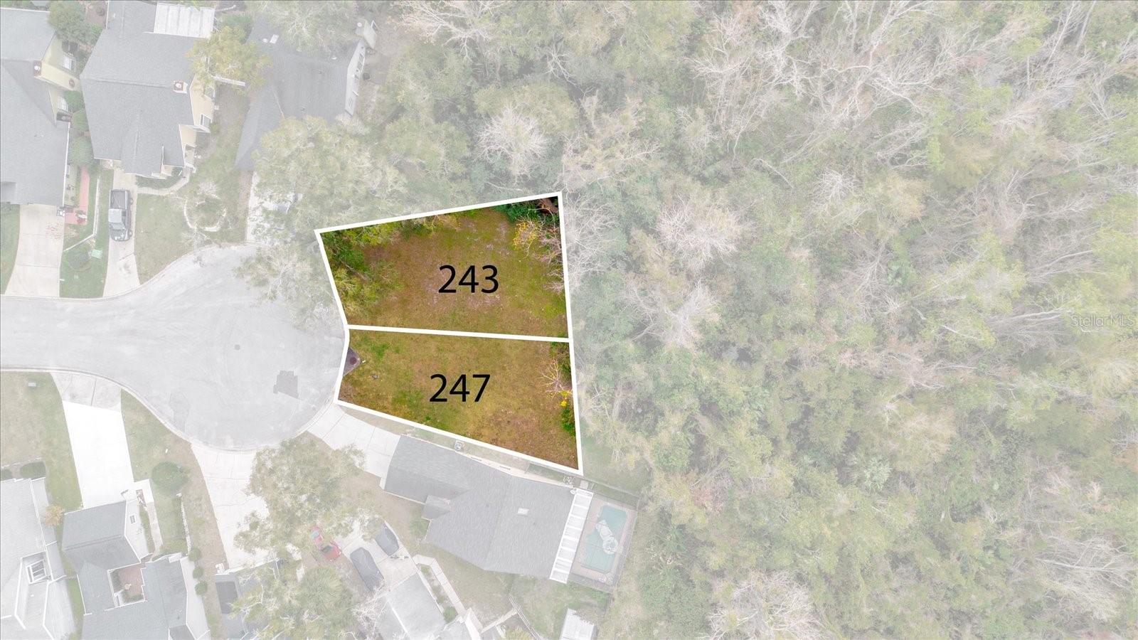 247 BLACKWATER PL, LONGWOOD, FL, 32750