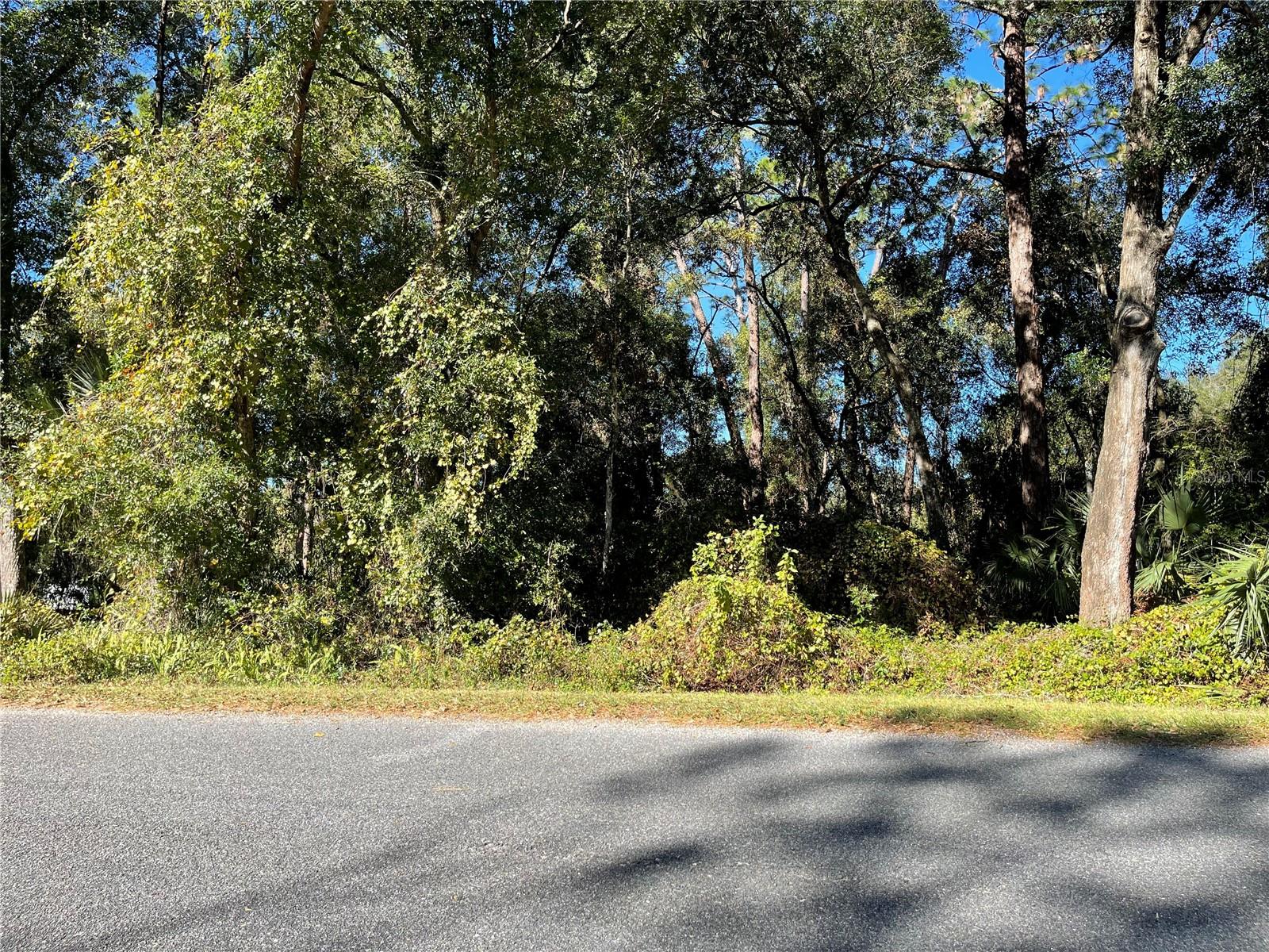 6954 SE 170TH AVENUE RD, OCKLAWAHA, FL, 32179