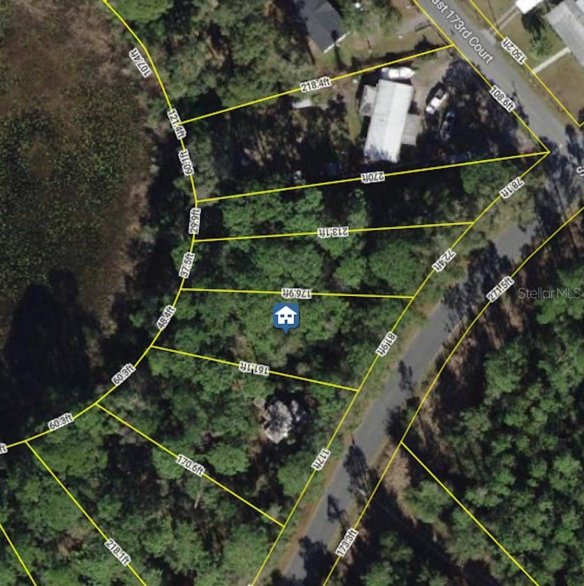 6954 SE 170TH AVENUE RD, OCKLAWAHA, FL, 32179