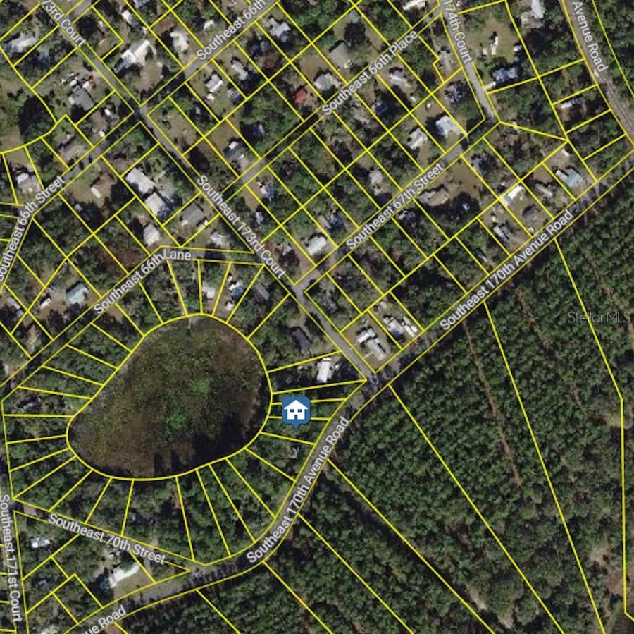 6954 SE 170TH AVENUE RD, OCKLAWAHA, FL, 32179
