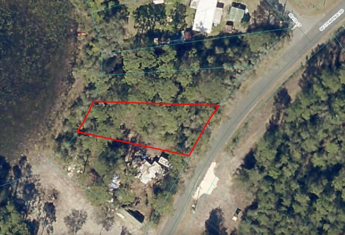 6954 SE 170TH AVENUE RD, OCKLAWAHA, FL, 32179