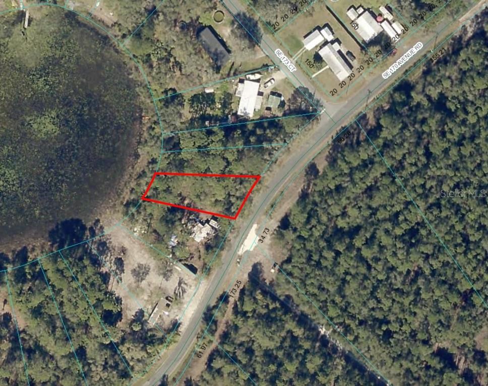 6954 SE 170TH AVENUE RD, OCKLAWAHA, FL, 32179