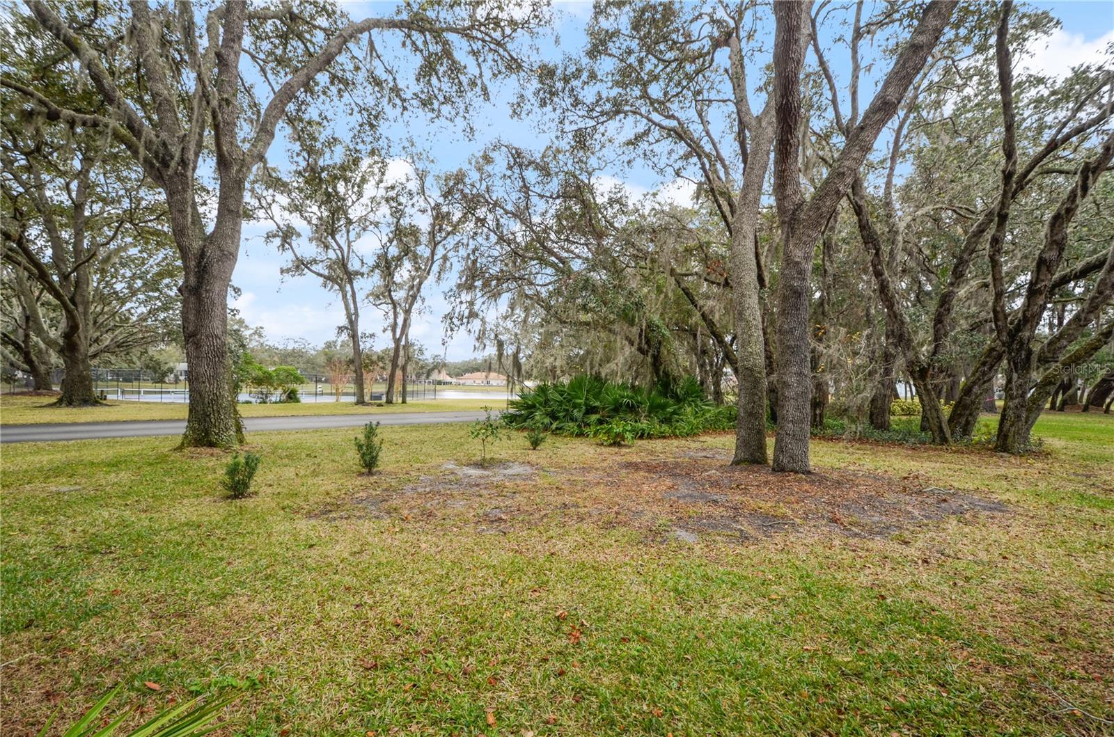 610 FANNICH CT, LEESBURG, FL, 34788