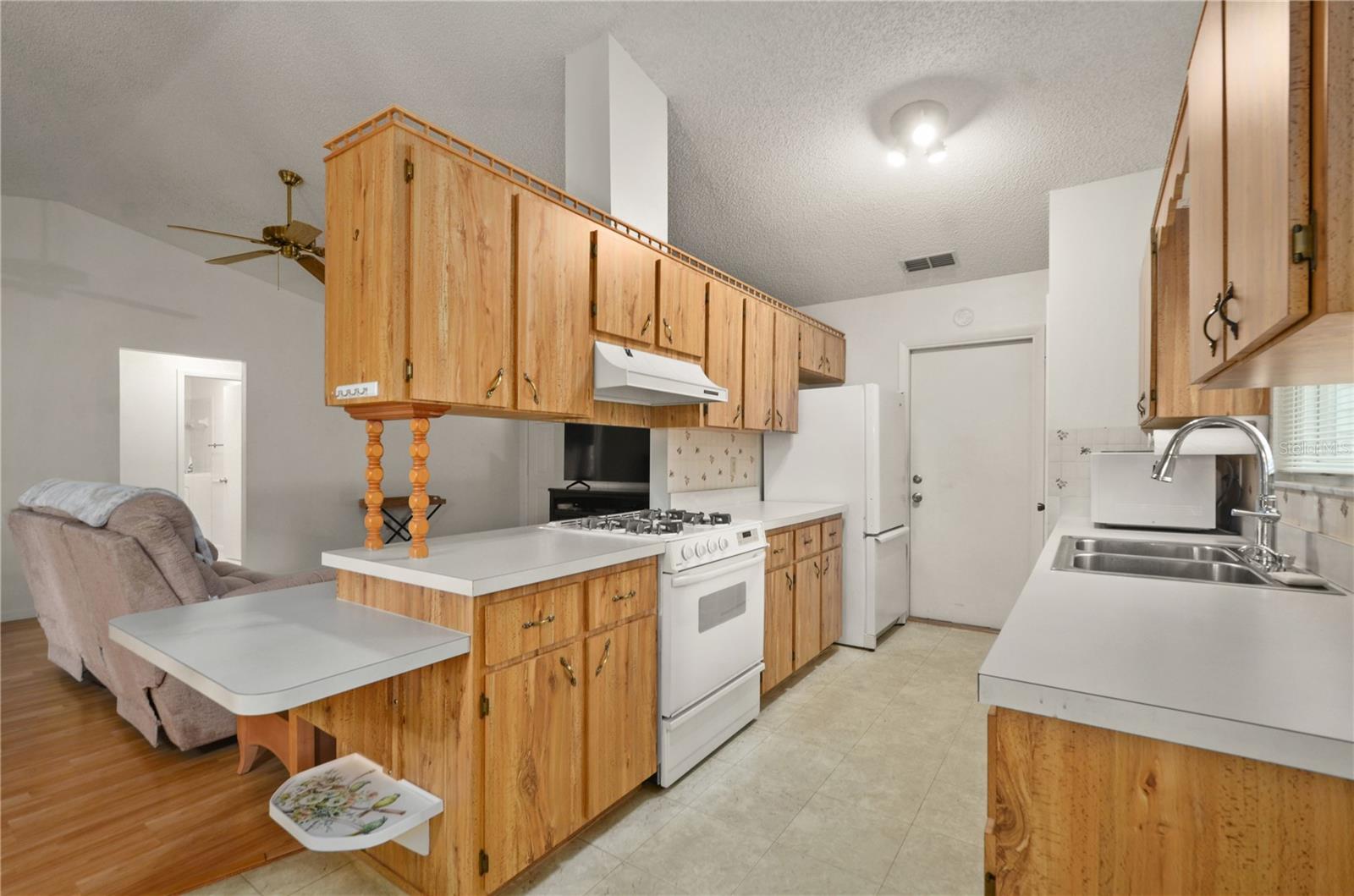 610 FANNICH CT, LEESBURG, FL, 34788