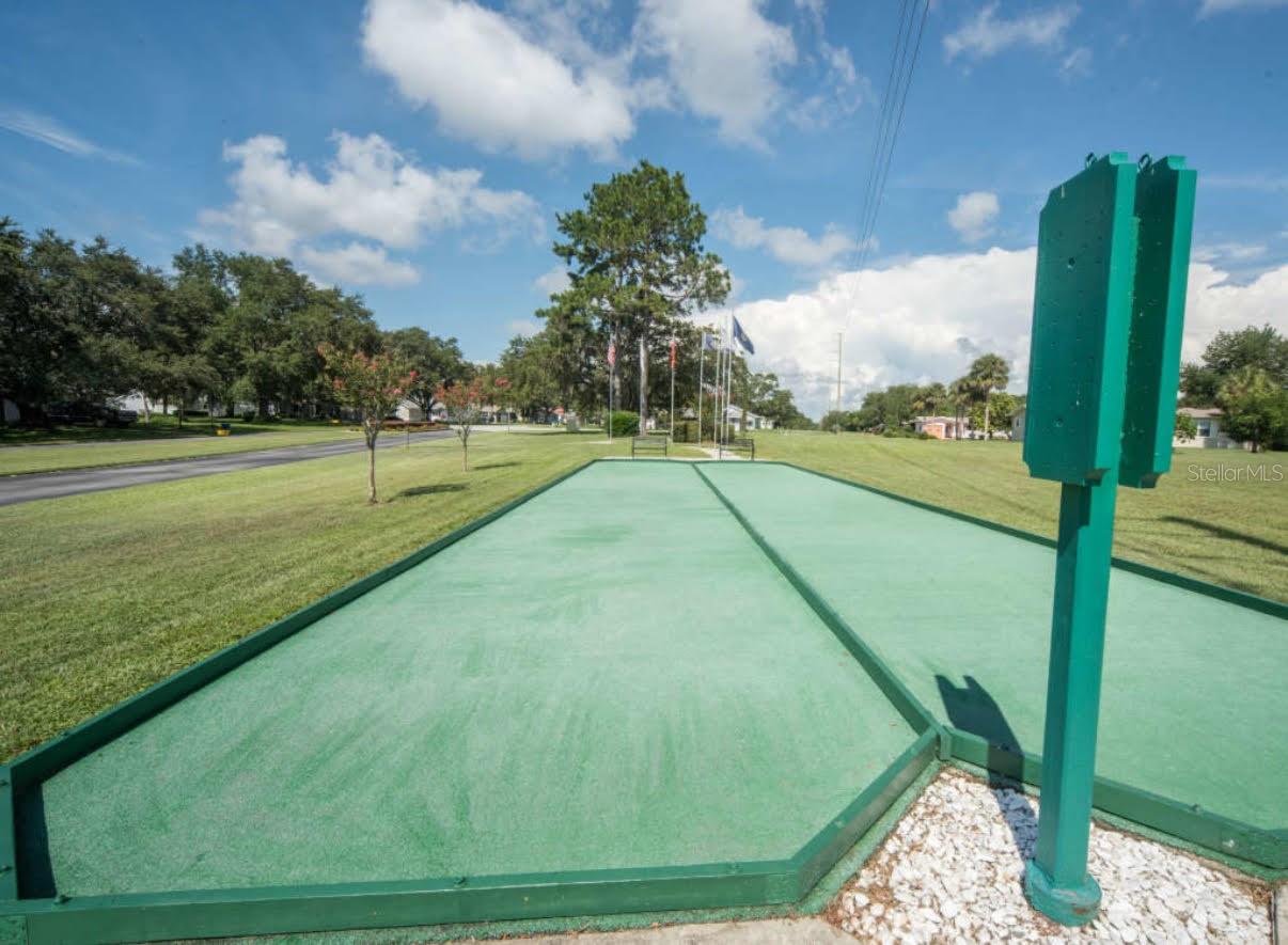 610 FANNICH CT, LEESBURG, FL, 34788