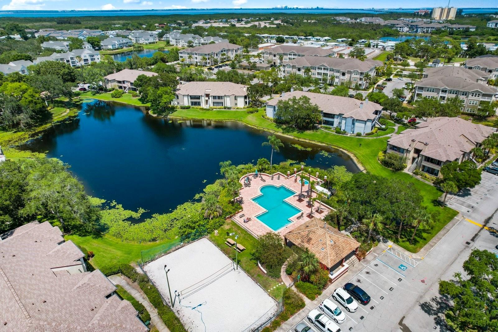 10263 GANDY BLVD N #2403 (Furnished), ST PETERSBURG, FL, 33702