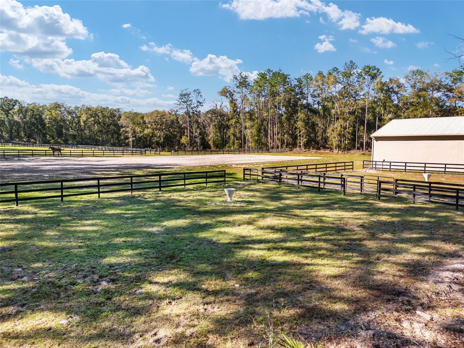 2900 SW 80TH AVE, OCALA, FL, 34481