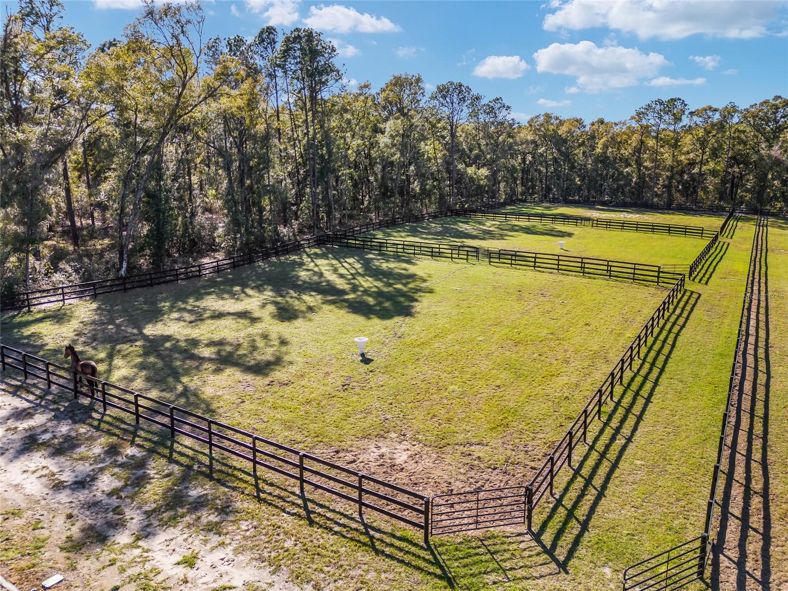 2900 SW 80TH AVE, OCALA, FL, 34481