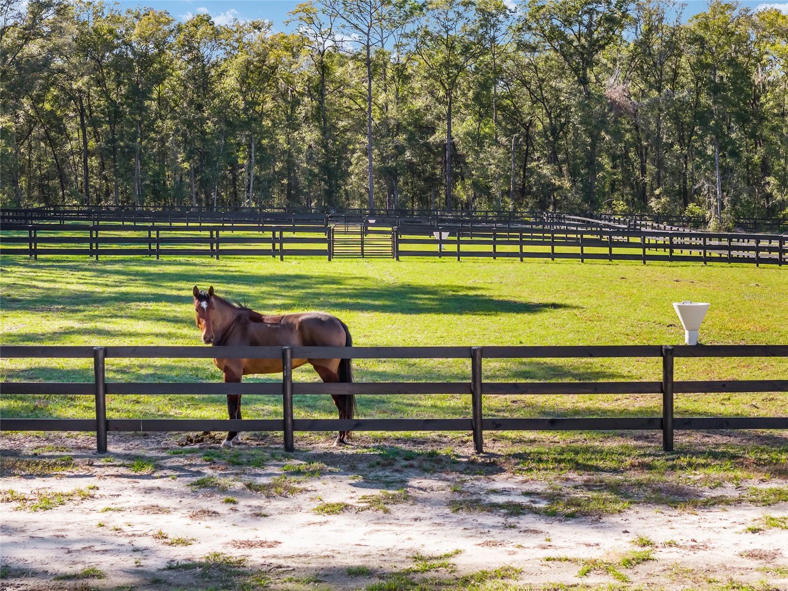 2900 SW 80TH AVE, OCALA, FL, 34481