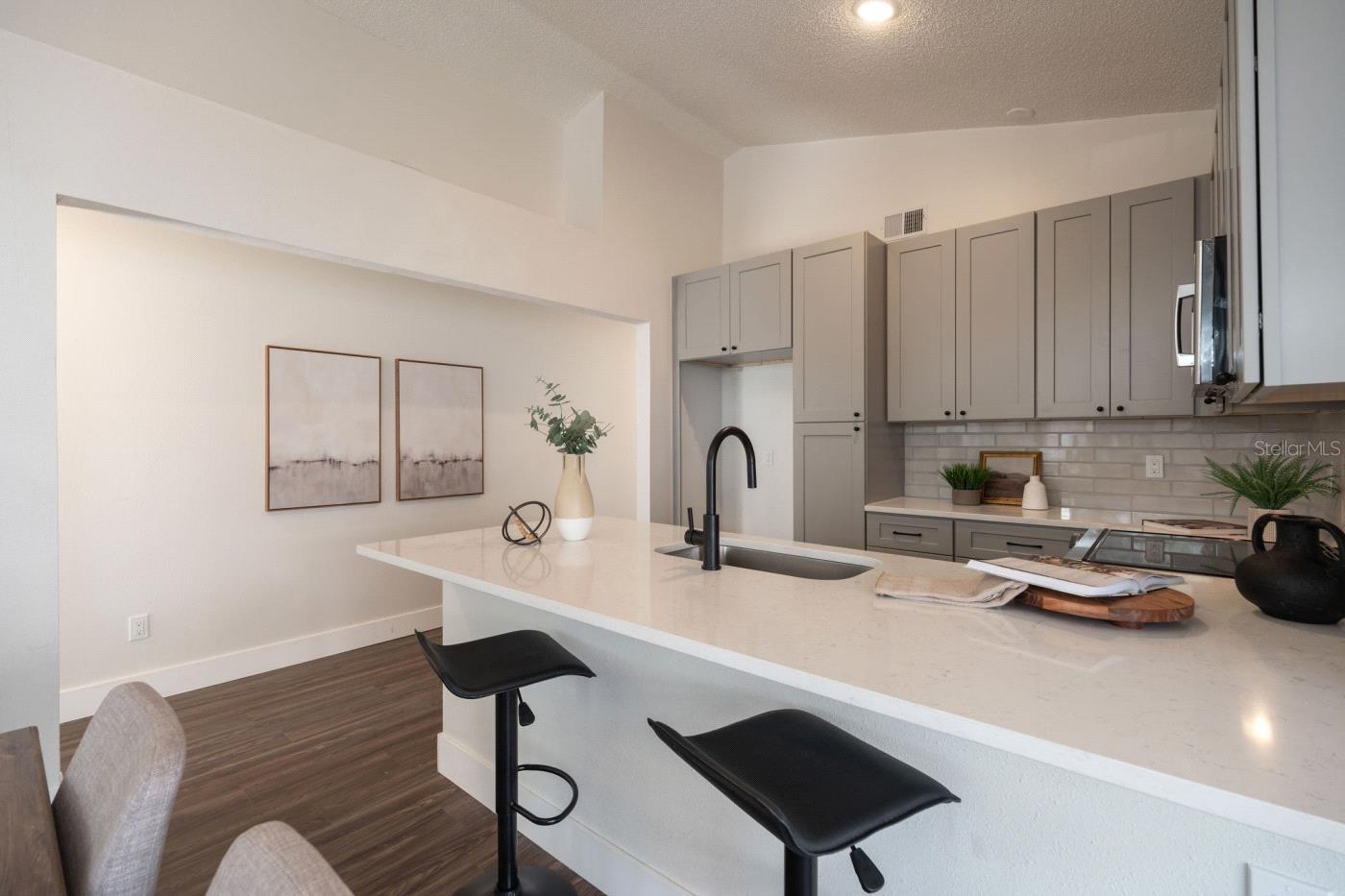 2524 PARSONS POND CIR, KISSIMMEE, FL, 34743