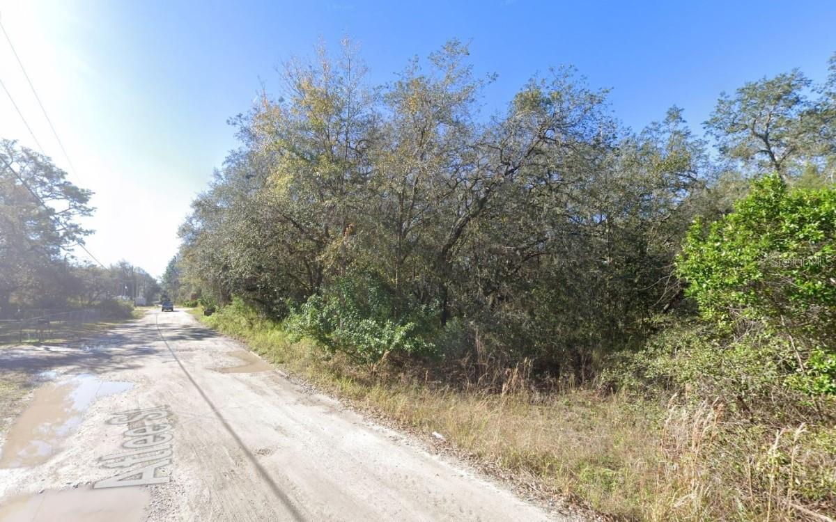 ATLEE STREET, NEW PORT RICHEY, FL, 34654