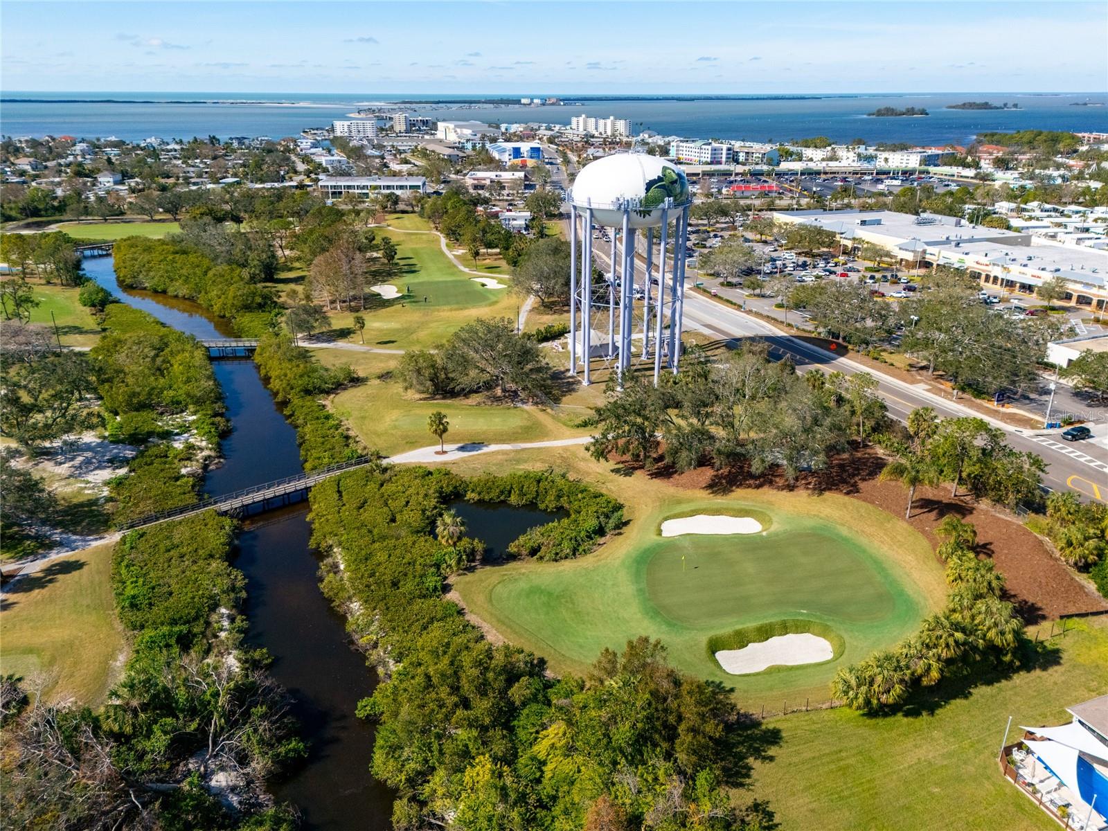 1230 NELSON ST, DUNEDIN, FL, 34698