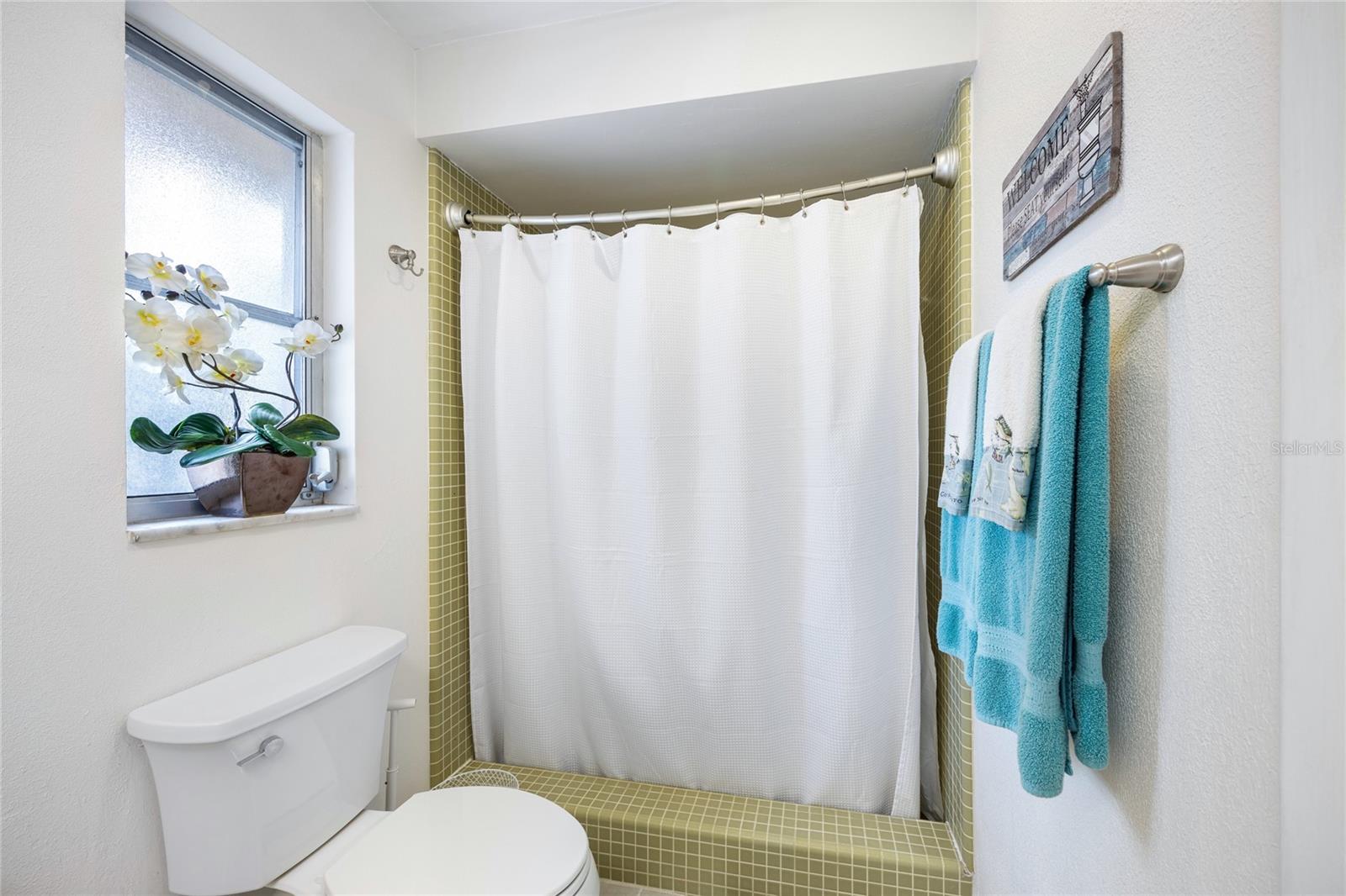 1230 NELSON ST, DUNEDIN, FL, 34698