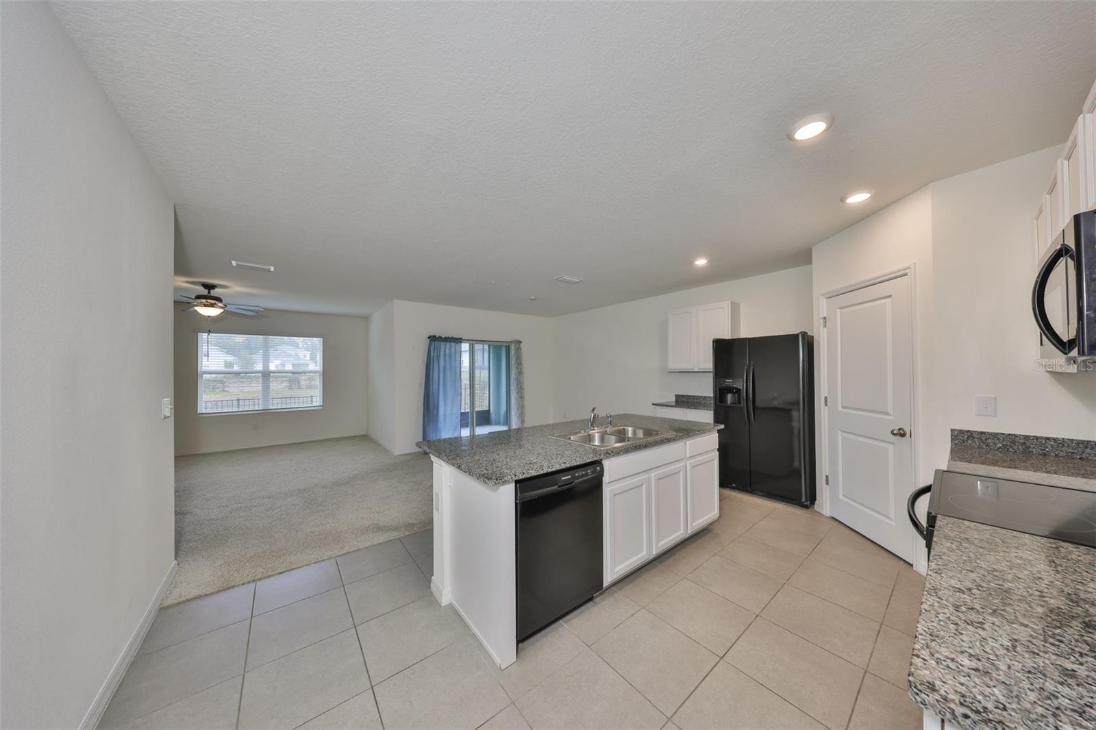 11520 KOTI CREEK LN, THONOTOSASSA, FL, 33592