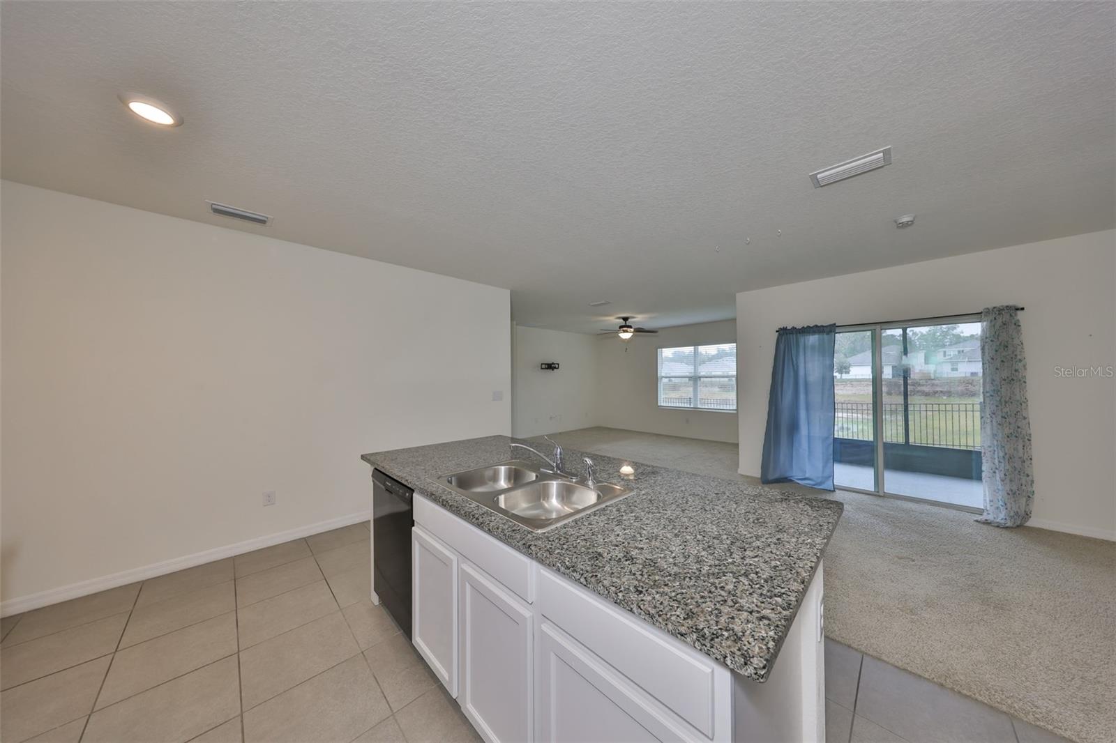 11520 KOTI CREEK LN, THONOTOSASSA, FL, 33592