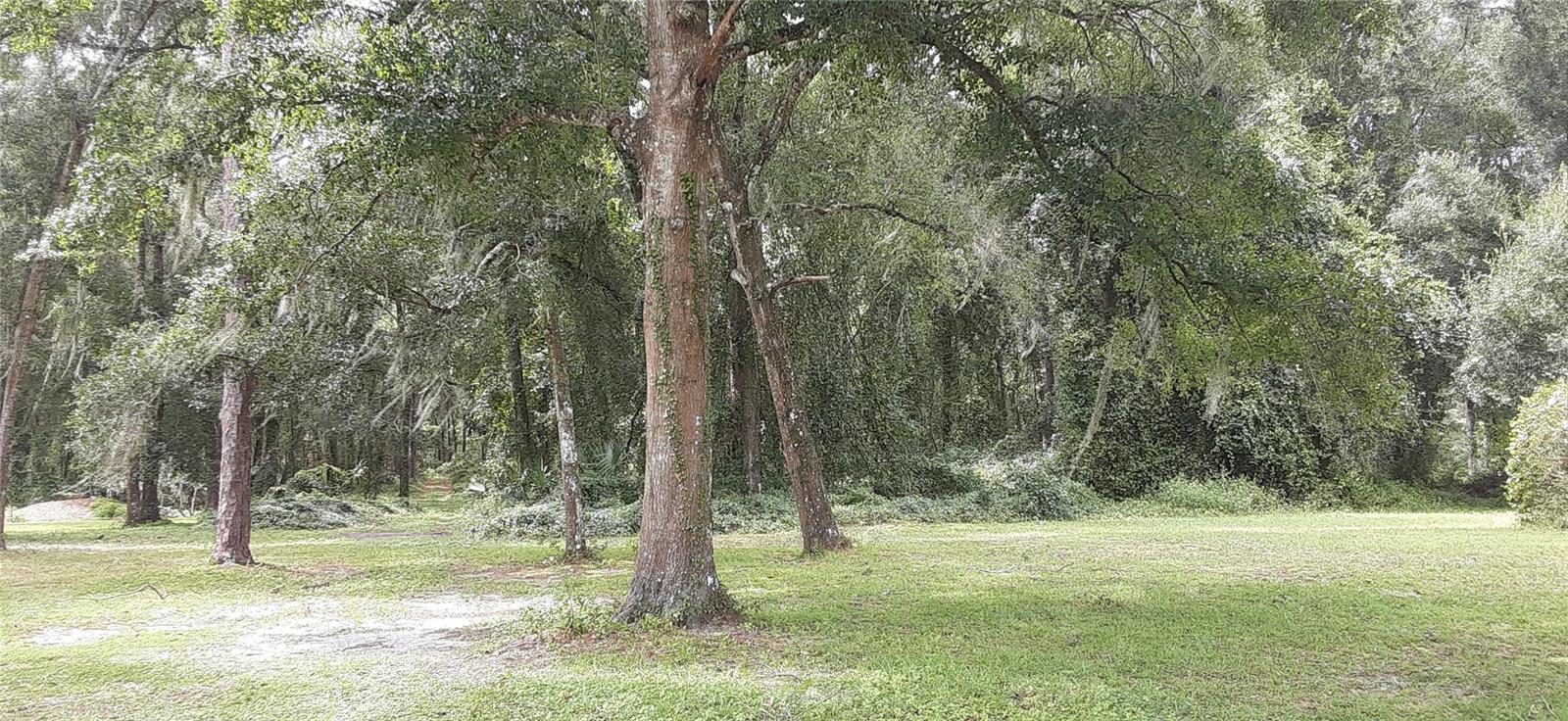 5245 WARM SPRINGS AVE, WILDWOOD, FL, 34785