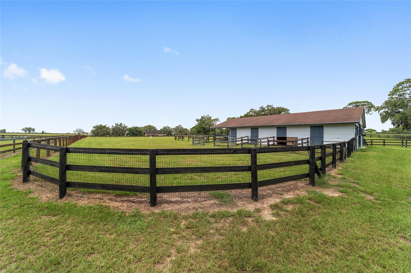 6208 NW 12TH ST, OCALA, FL, 34482