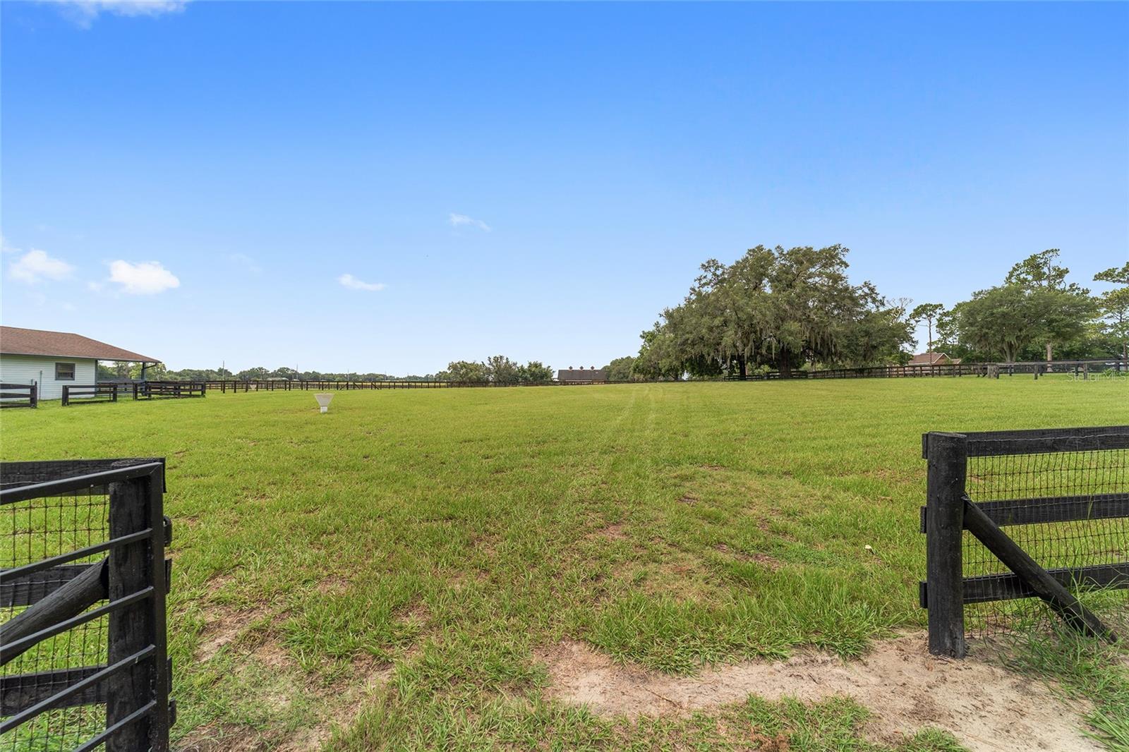 6208 NW 12TH ST, OCALA, FL, 34482