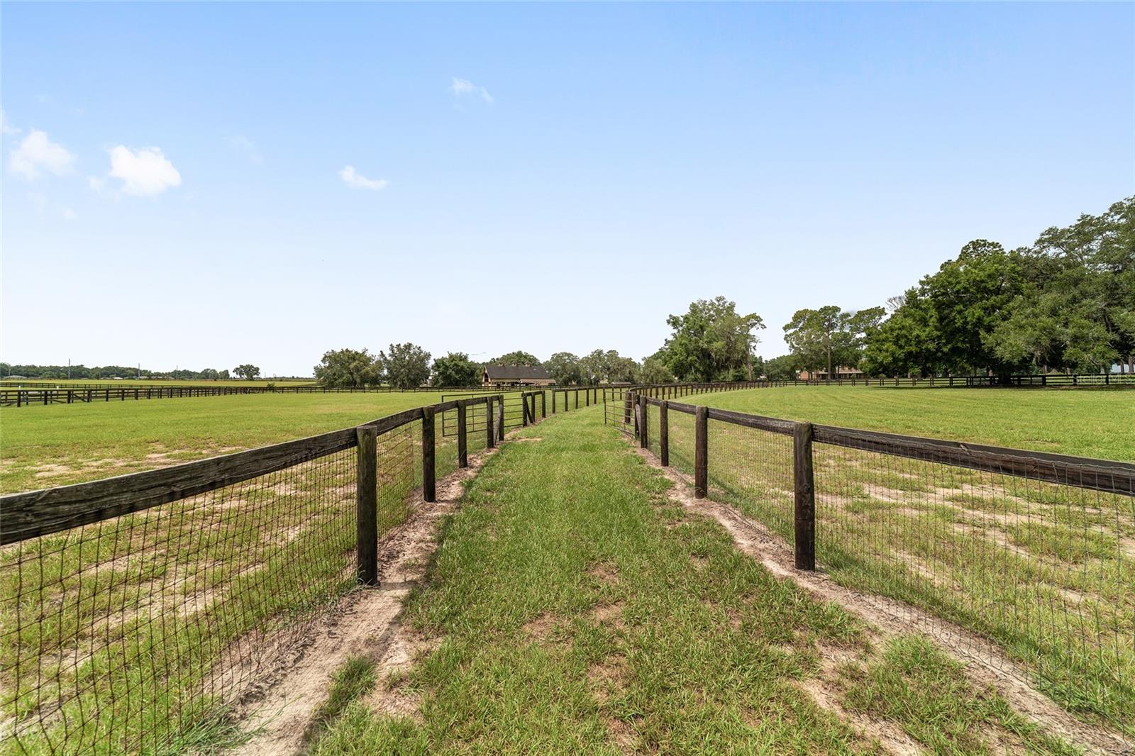 6208 NW 12TH ST, OCALA, FL, 34482
