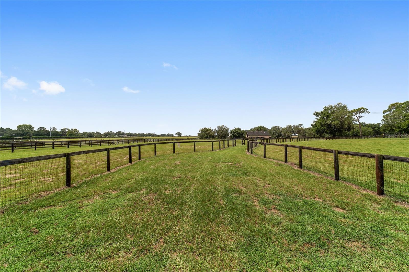 6208 NW 12TH ST, OCALA, FL, 34482
